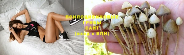 MESCALINE Абинск