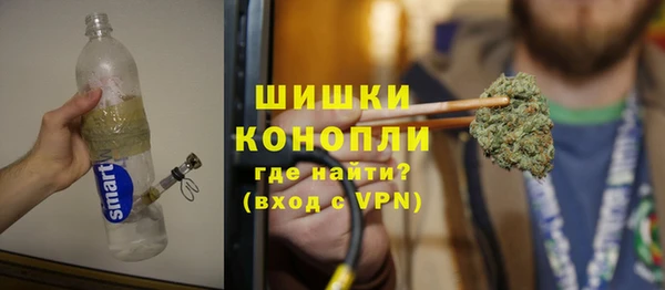 крисы Магас