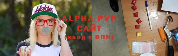 прущие грибы Абдулино