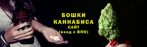 прущие грибы Абдулино