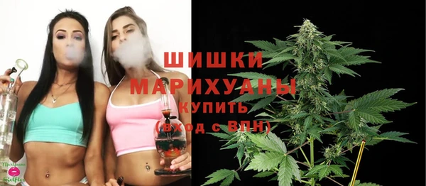 прущие грибы Абдулино