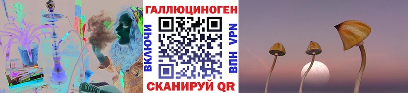 Галлюциногенные грибы MAGIC MUSHROOMS Томилино